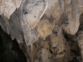 potpeckapecina (33)