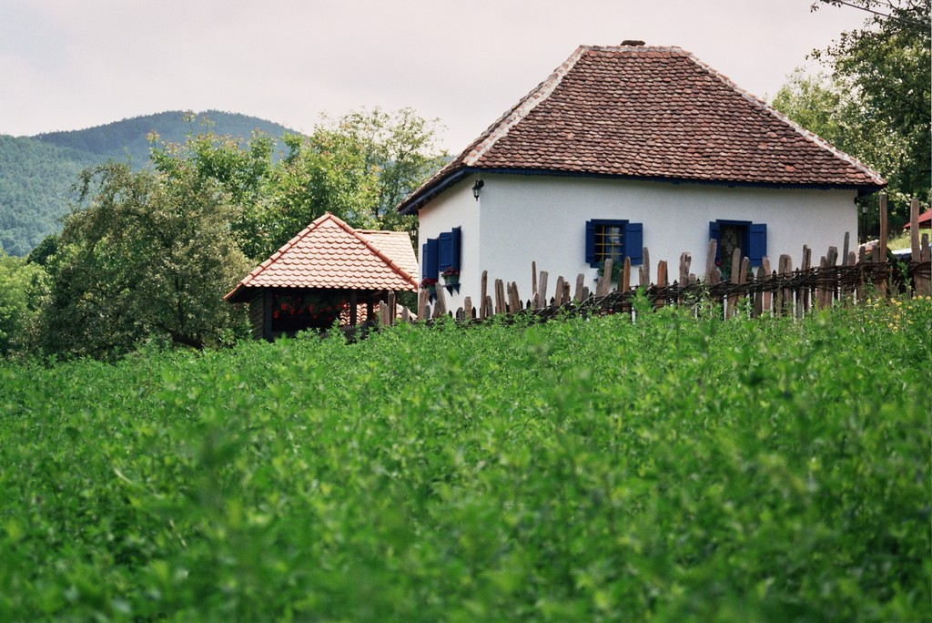 terzicaavlija (81)